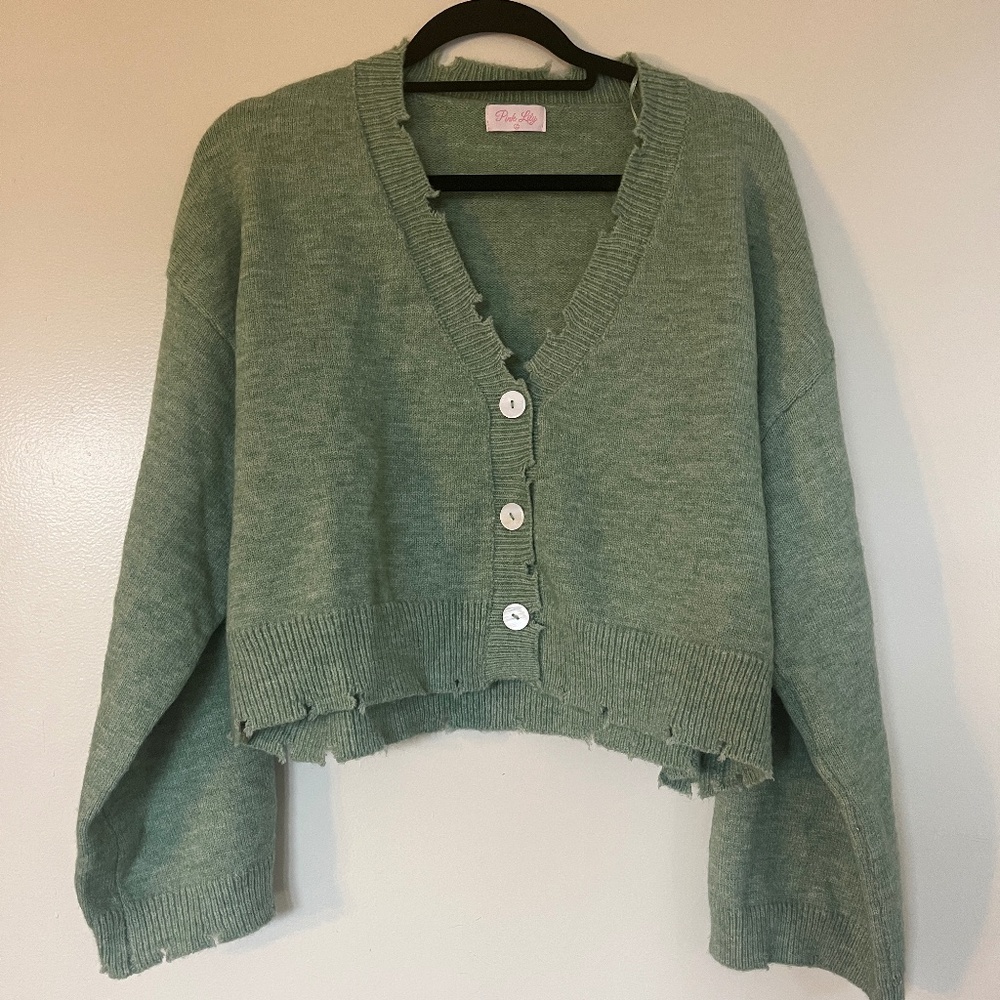NWOT! Pink Lily Large Cardigan Sweater Sage Light Green White Button Down